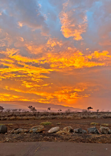 Send your best photos from Maui County to mauiphotos@mauinews.com for a chance to see them featured on our website and in our weekly print edition.